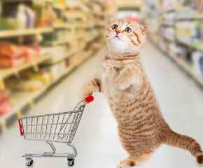 Picture for category Cat Treats